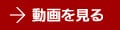 動画を見る