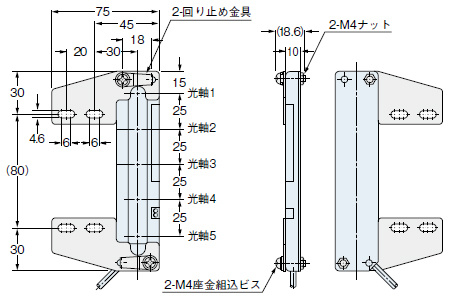 MS-NA2-1