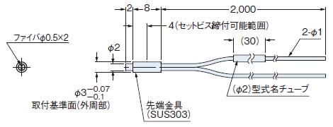 FD-S31