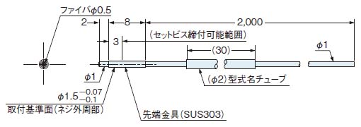 FT-S21W