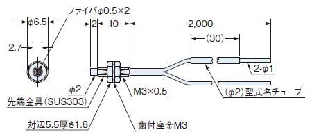 FD-31W