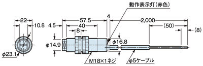 CY-29□