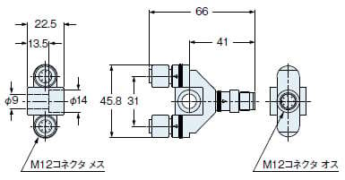 SFB-WY1